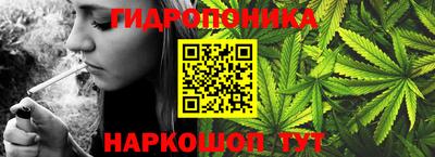 твердый Гусев